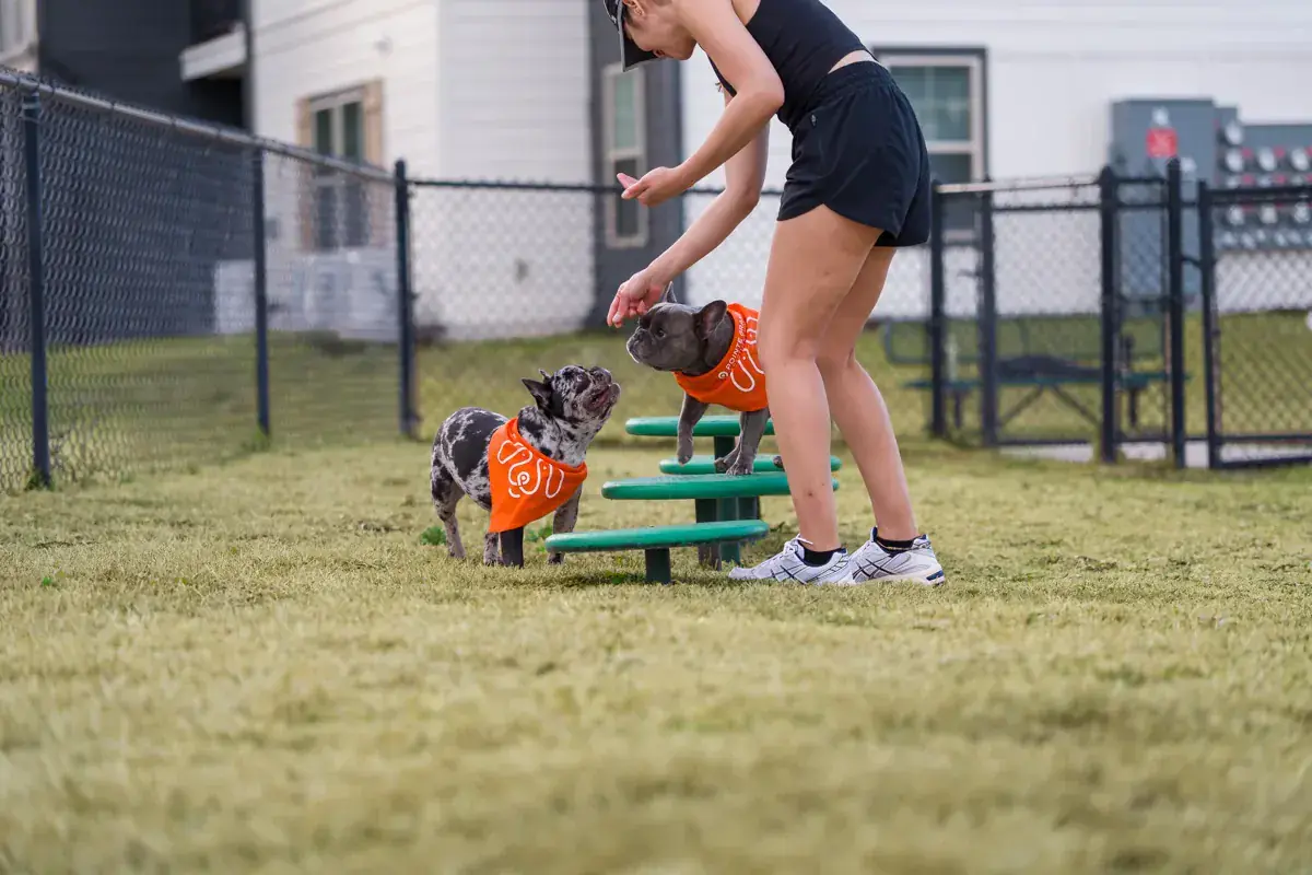 Leash-free bark park at a Pointe Grand community