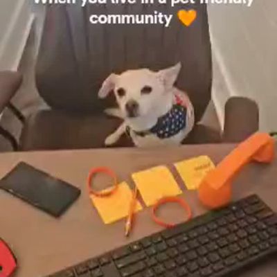 Instagram post thumbnail