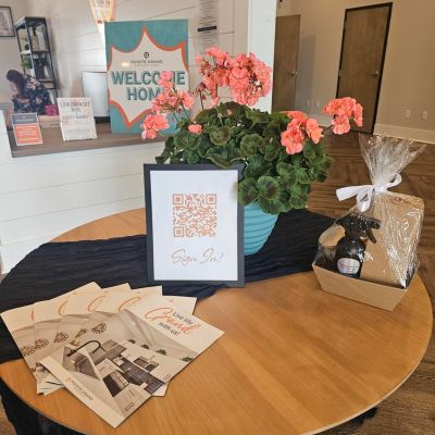 Instagram post thumbnail