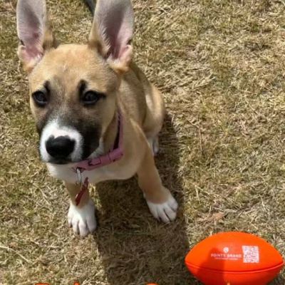 Instagram post thumbnail