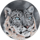 review profile image
