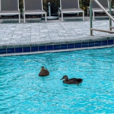 Miniatura de una publicación de Instagram