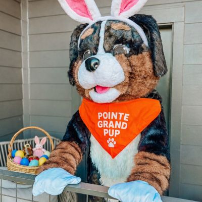 Instagram post thumbnail