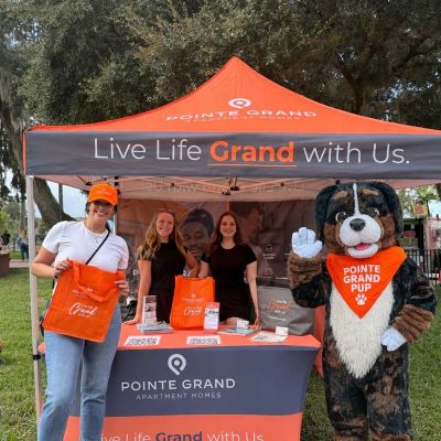 Instagram post thumbnail