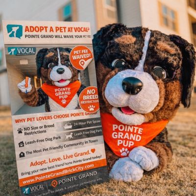 Instagram post thumbnail