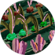 review profile image