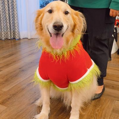 Instagram post thumbnail