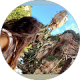 review profile image