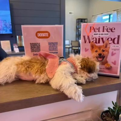 Instagram post thumbnail