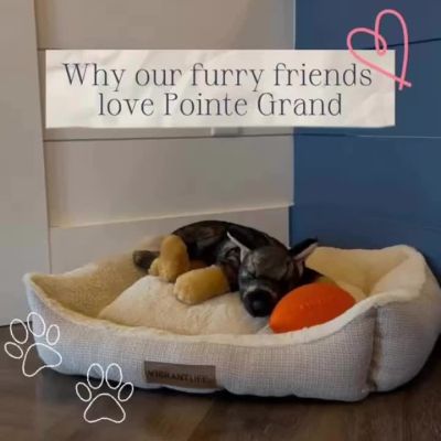 Instagram post thumbnail