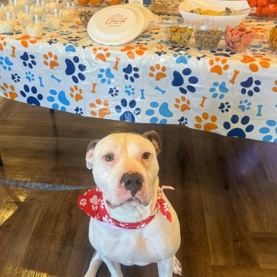 Instagram post thumbnail