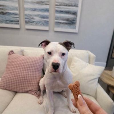 Instagram post thumbnail