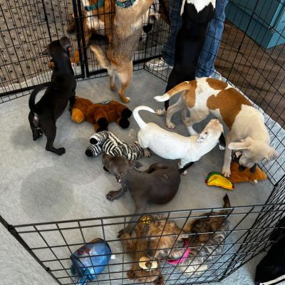 Instagram post thumbnail