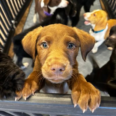 Instagram post thumbnail