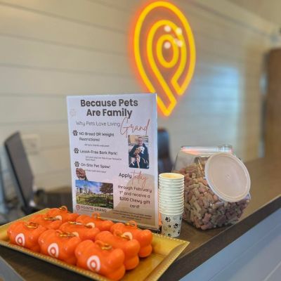 Instagram post thumbnail