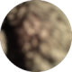 review profile image