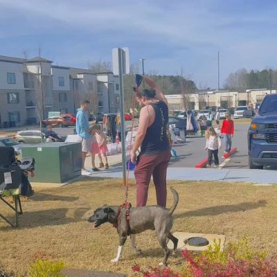 Instagram post thumbnail