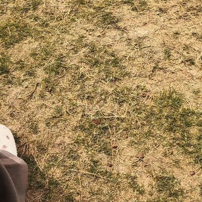 Instagram post thumbnail