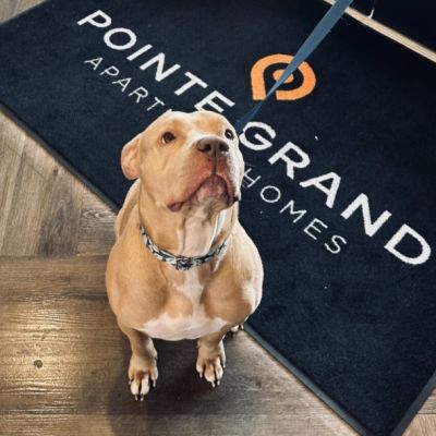 Instagram post thumbnail