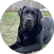 review profile image