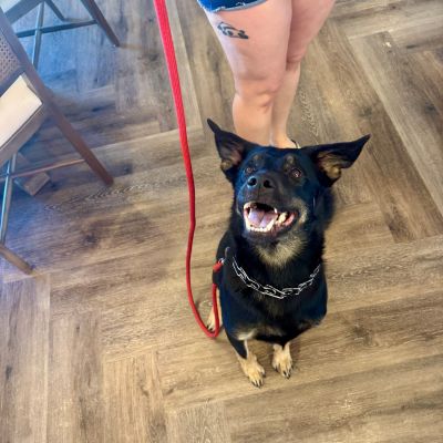 Instagram post thumbnail