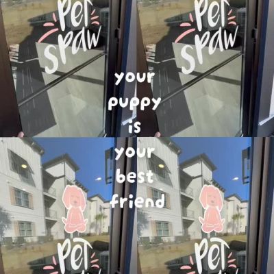 Instagram post thumbnail