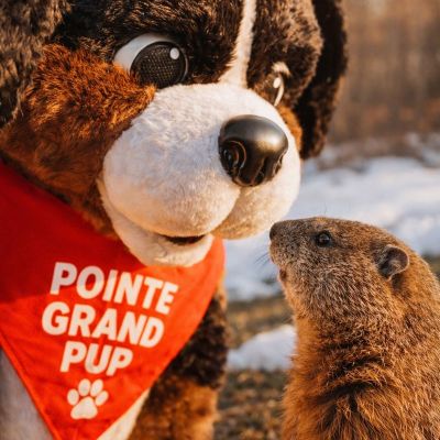 Instagram post thumbnail