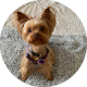 review profile image