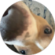 review profile image