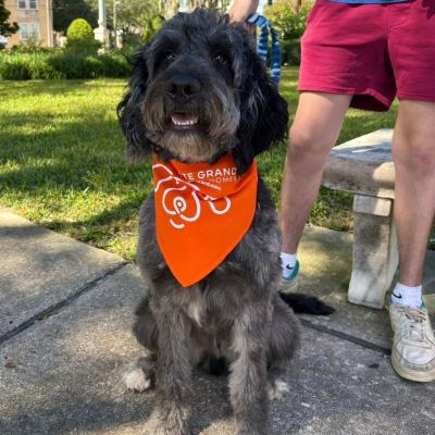 Instagram post thumbnail