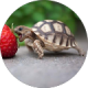 review profile image