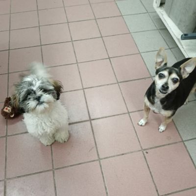 Miniatura de una publicación de Instagram