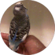 review profile image