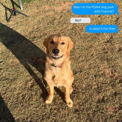 Instagram post thumbnail