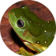 review profile image