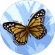 review profile image