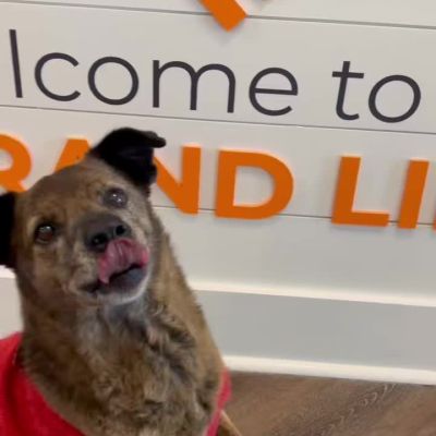 Instagram post thumbnail