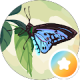 review profile image