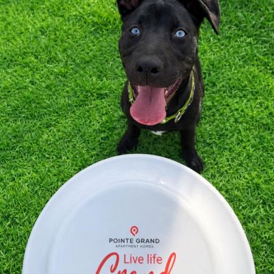 Instagram post thumbnail