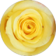 review profile image