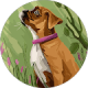 review profile image
