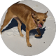 review profile image
