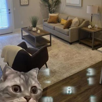 Instagram post thumbnail