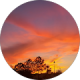 review profile image