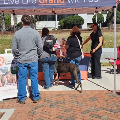 Instagram post thumbnail