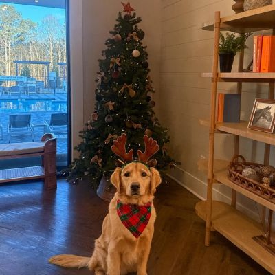 Instagram post thumbnail