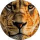 review profile image