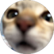 review profile image