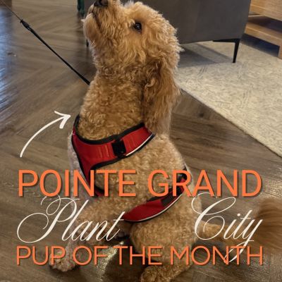 Instagram post thumbnail