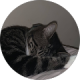 review profile image